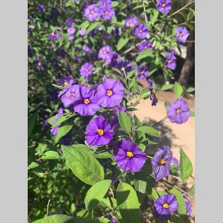 Les Sablettes Vue Apartmán